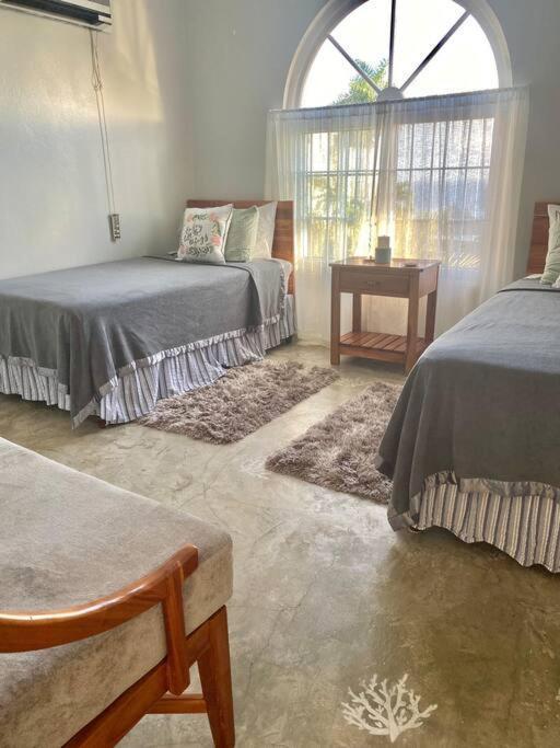 Coastal Beauty - Beautiful Penthouse Condo In 奥乔里奥斯 外观 照片